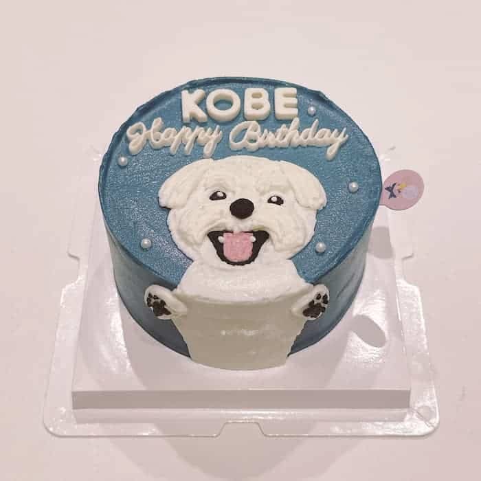 Trần Ngọc Huyền avatar